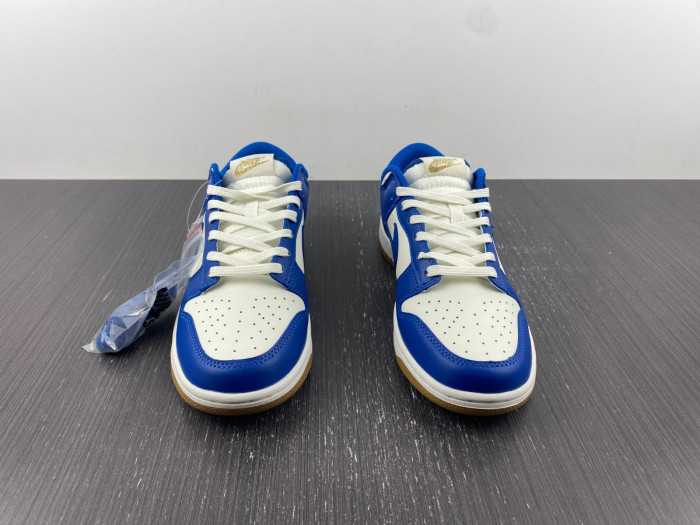 Nike Dunk Low  FB7173-141