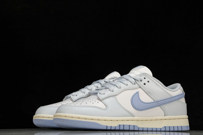 Nike Dunk Low NEXT NATURE DD1873-400